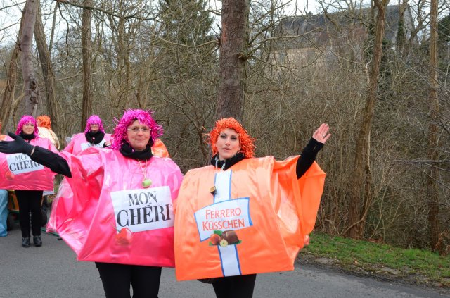 umzug simmern_140301_vb_028